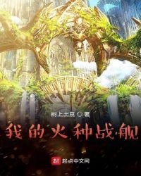 我的火种战舰